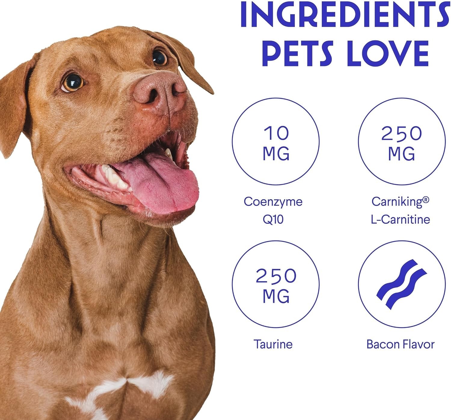 Cardio Support Chews for Dogs – Heart Health, Energy & Weight Management – 90…