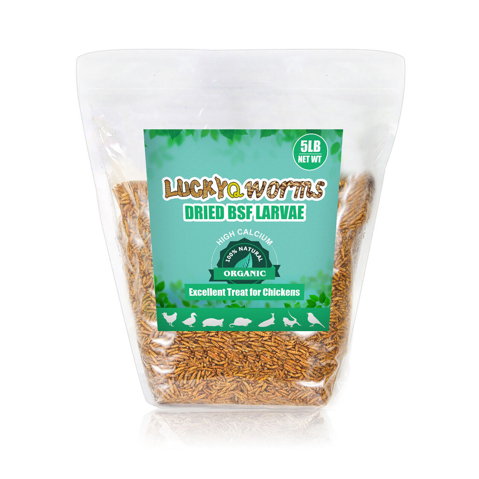 Premium 11Lbs Dried Black Soldier Fly Larvae Mealworms for Chicken Birds Treats