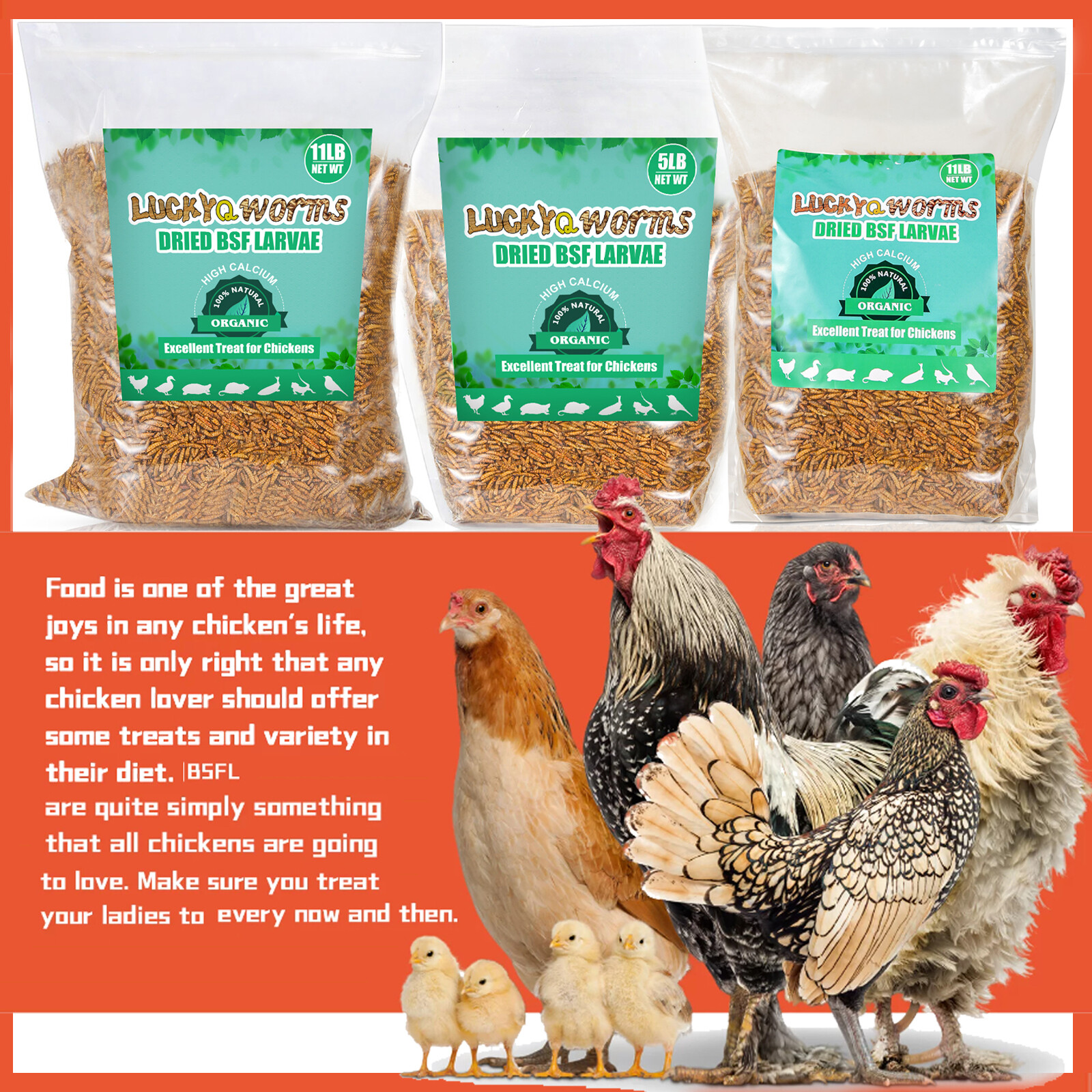 Bulk Premium Dried Black Soldier Fly Larvae Mealworm for Chicken HighCalcium LOT