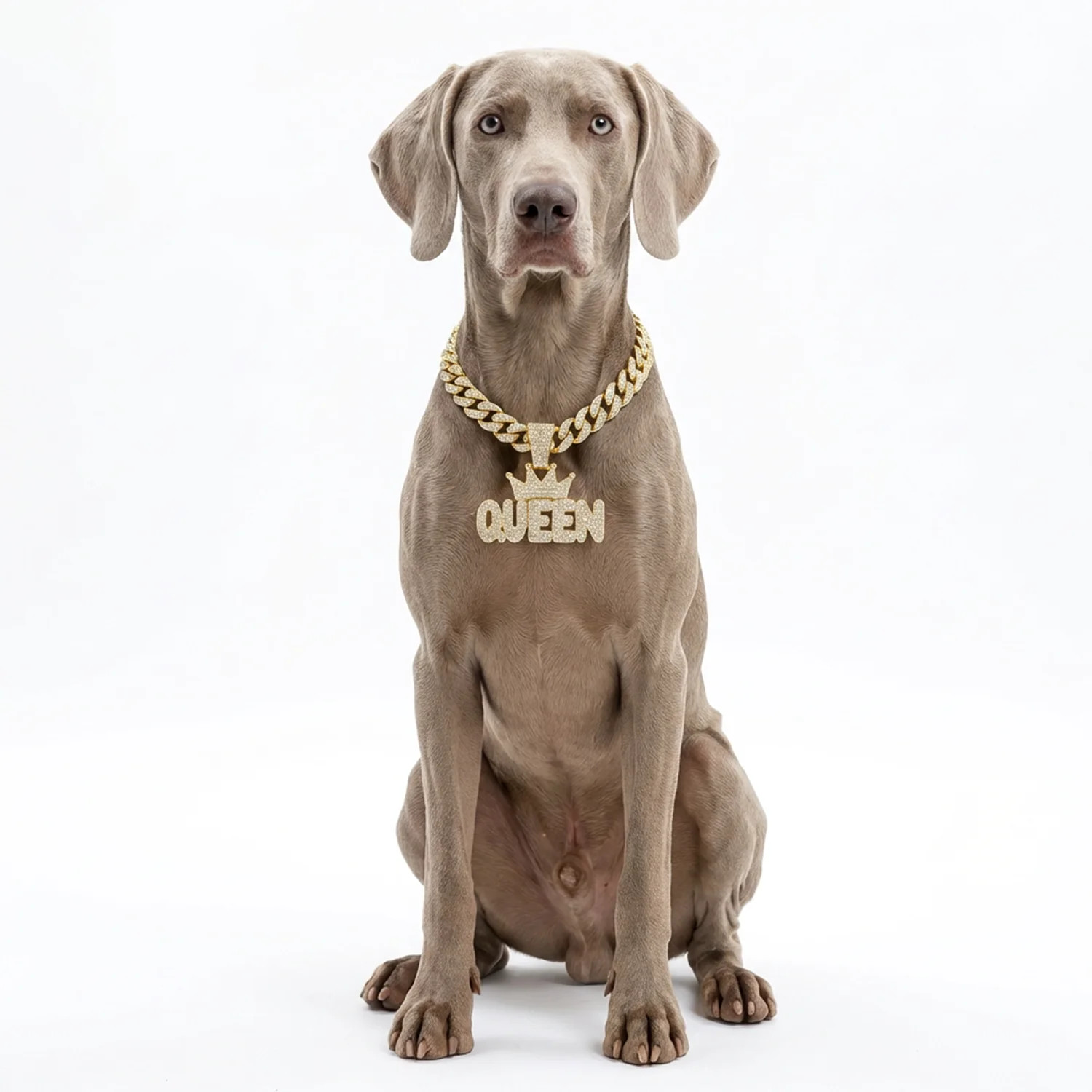 Cuban Link Dog Chain Collar Aluminum Alloy Gold Jewelry with King Queen Pendant