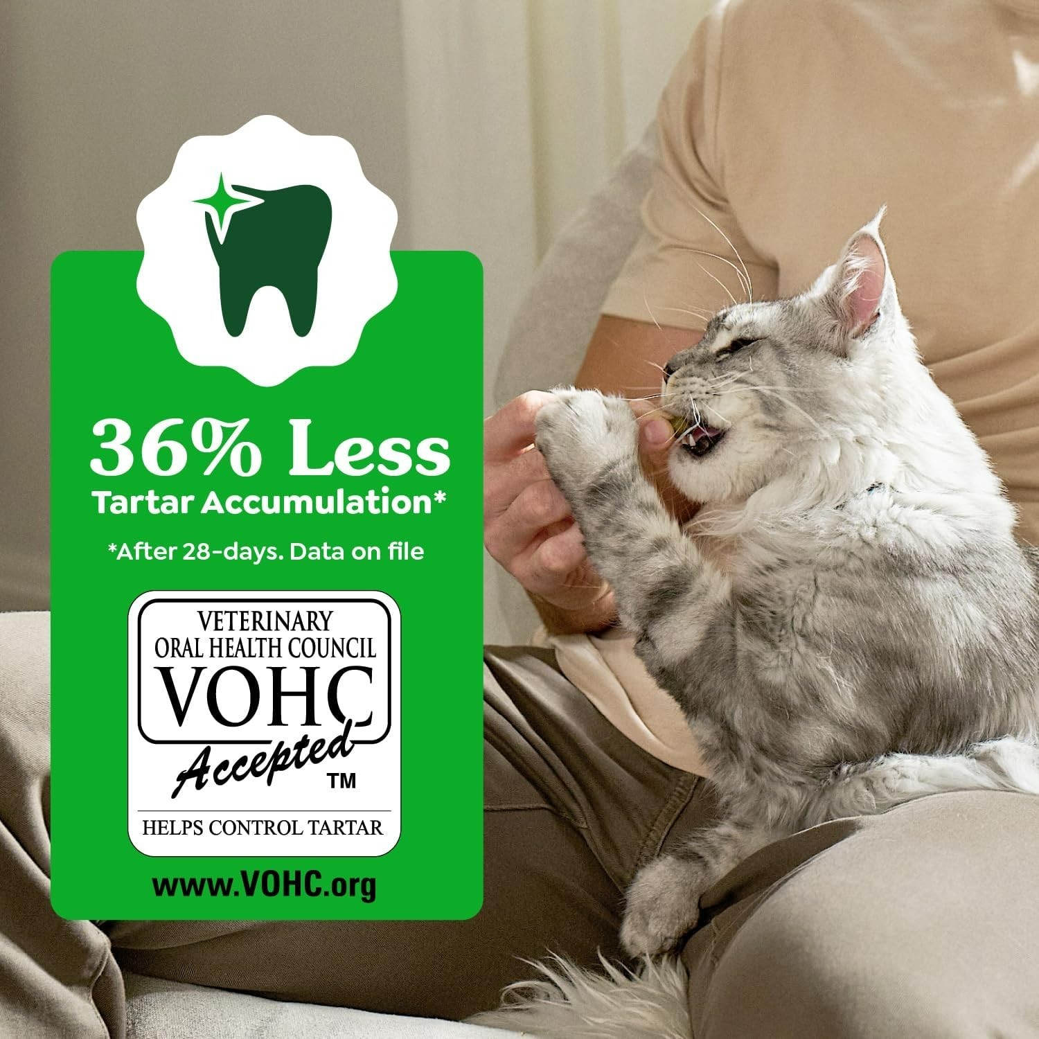 Feline Veterinarian-Recommended Adult Natural Dental Cat Treats, Oven Roasted…