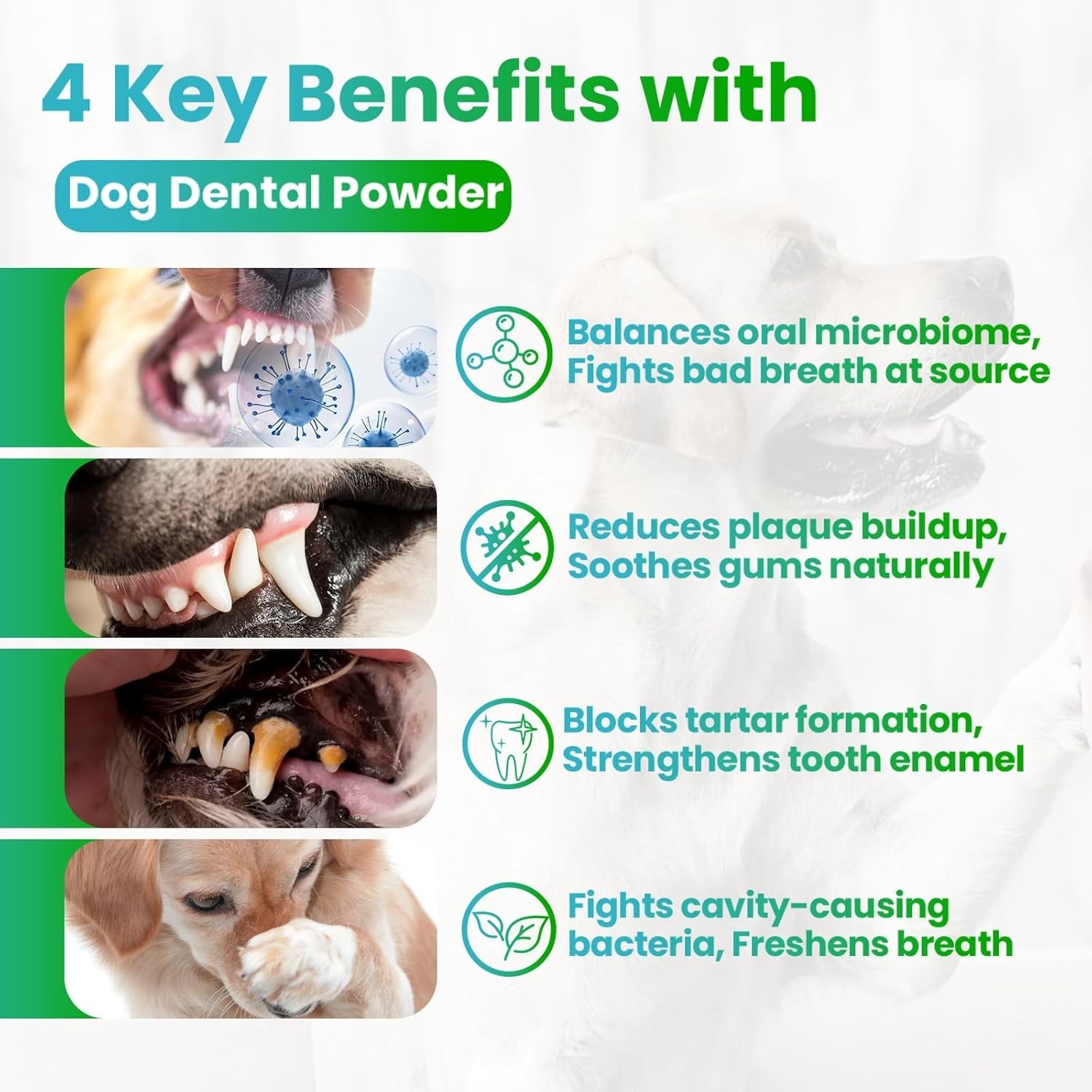 Dog Teeth Cleaning Powder with Probiotics, Dog Dental Powder for Teeth Cleani…