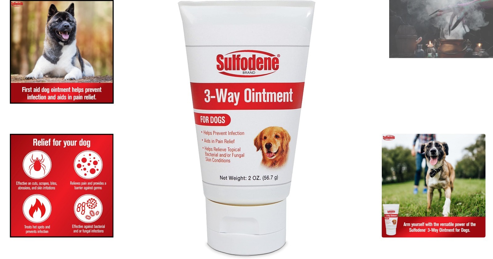 Effective Dog Wound Care Ointment – Pain Relief & Healing for All Breeds, 2oz