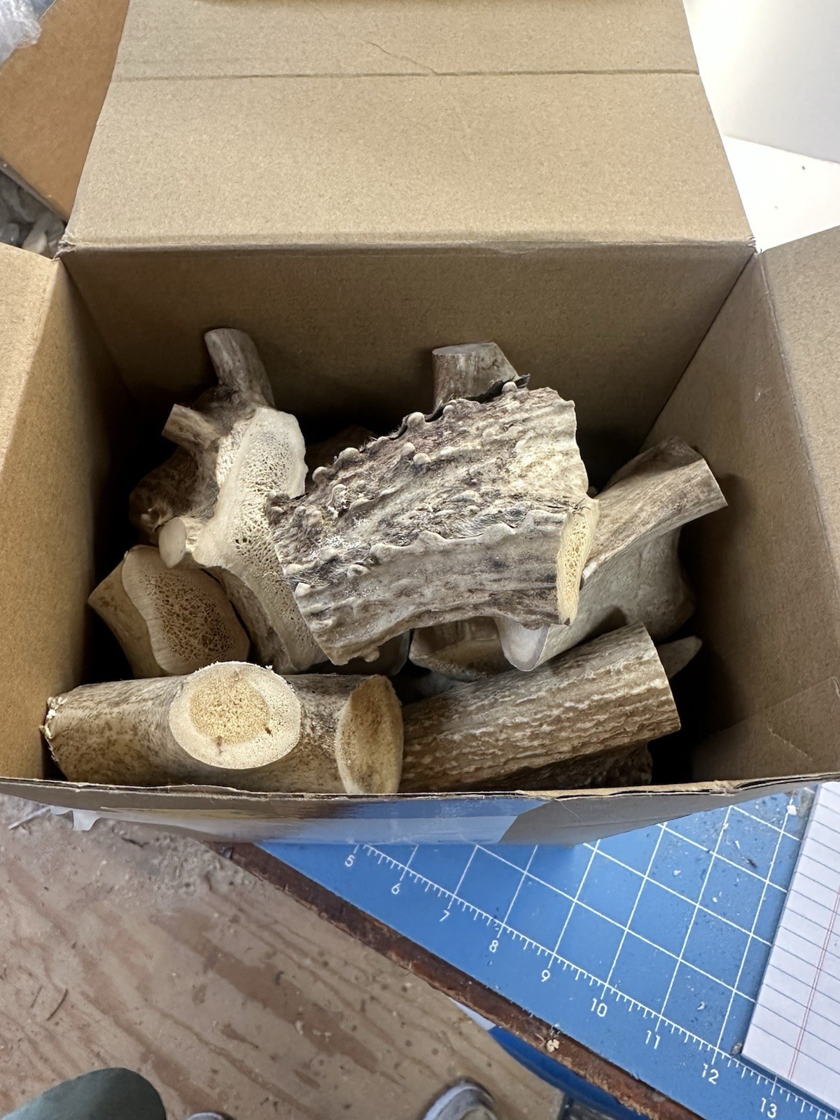 5 Pounds Real Whitetail Deer Antler Dog Chews For Medium Sized Dogs #322