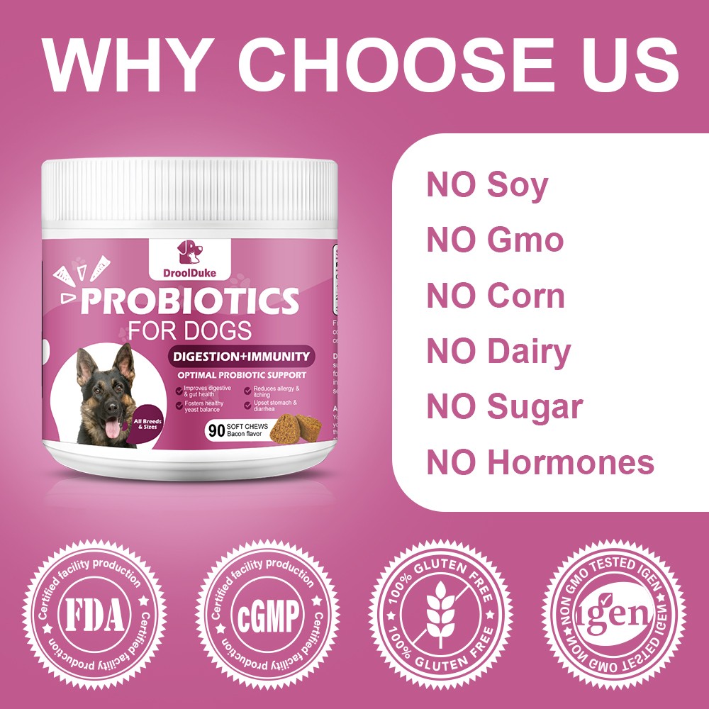 150 Dog Probiotics Supplement – Supports Digestion Health, Allergy & Itchy Skin