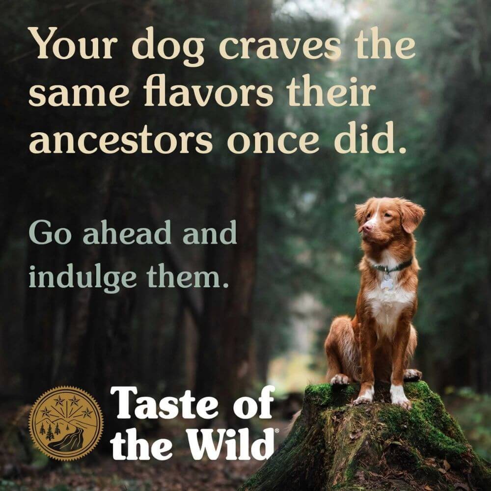 NEW Taste of the Wild High Prairie Dry Dog Food 28 lb Free Ship