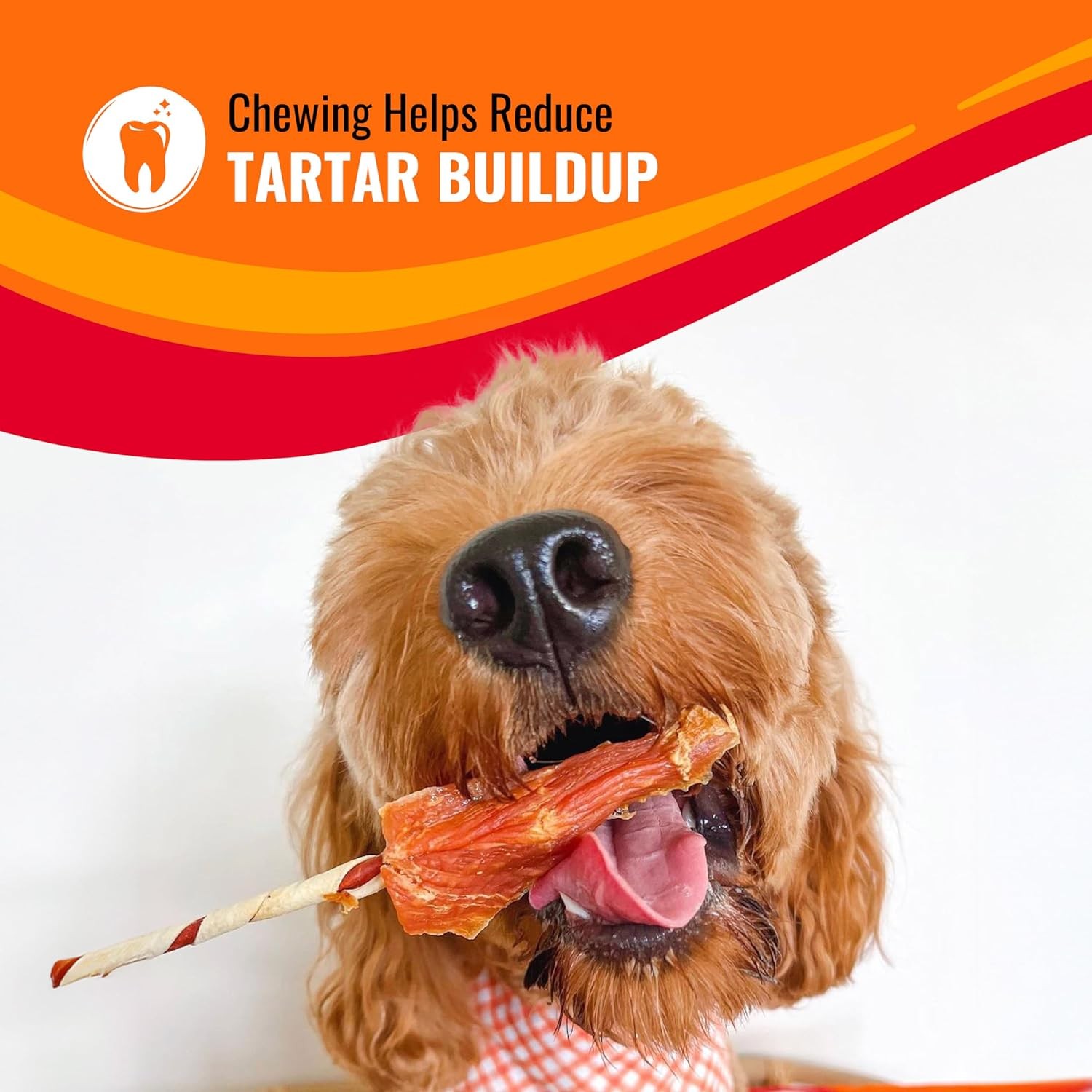 Good ‘n’ Fun Triple Flavor Kabobs Chews for All Dogs-24 Ounces