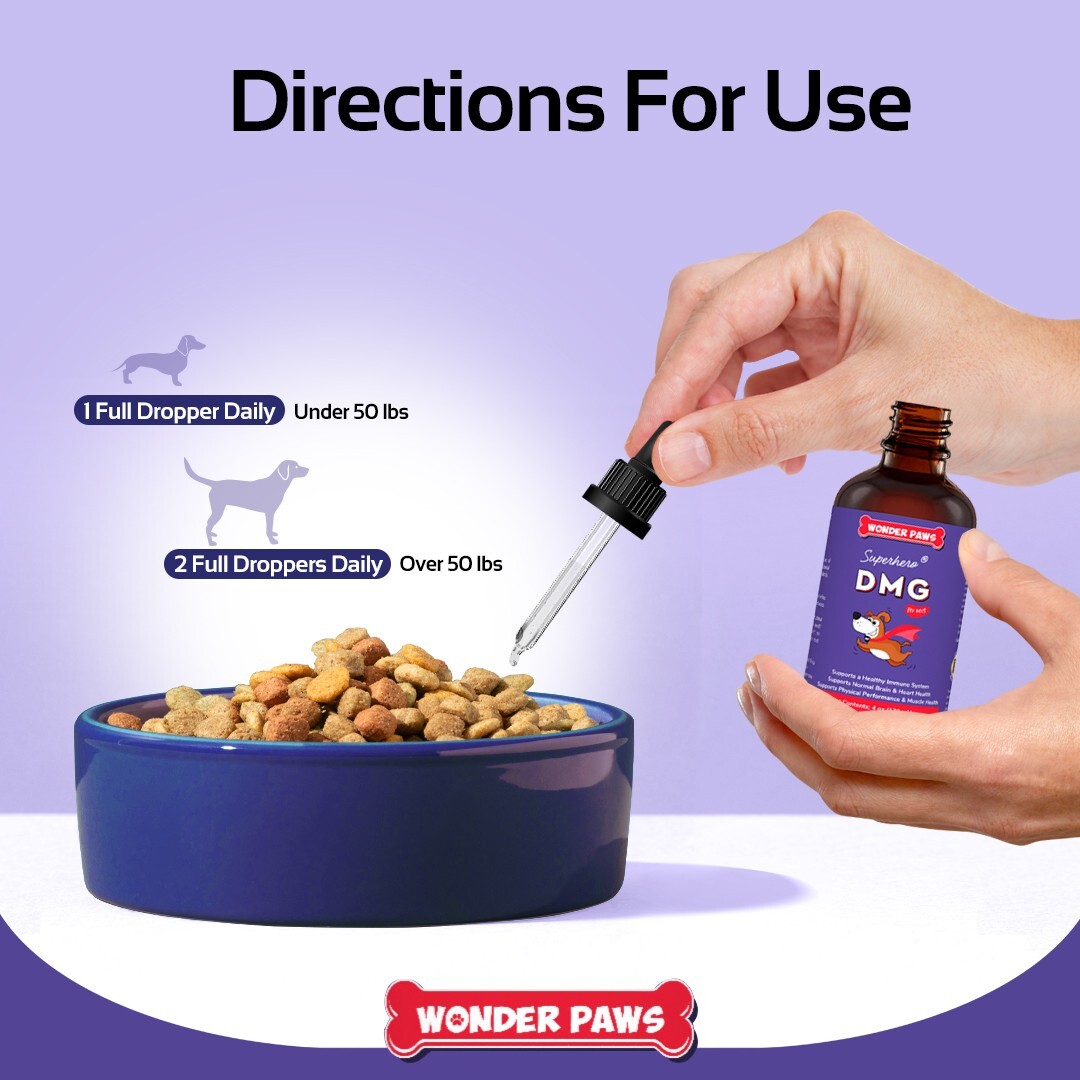 Premium DMG for Dogs – Dimethylglycine (DMG) for All Ages, Sizes & Breeds – 4oz