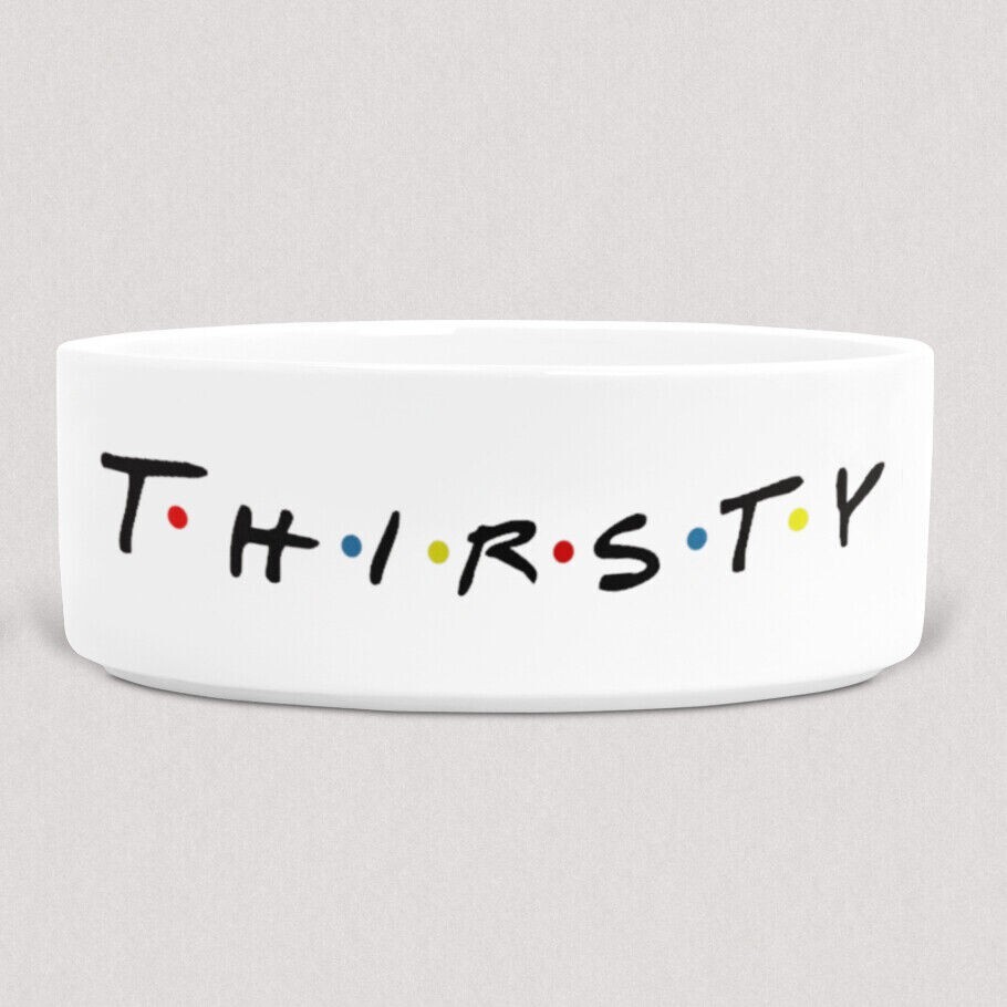 Thirsty Friends TV Show Inspired Dog Bowl – 6″ White Ceramic Dog Bowl – Pet Bowl