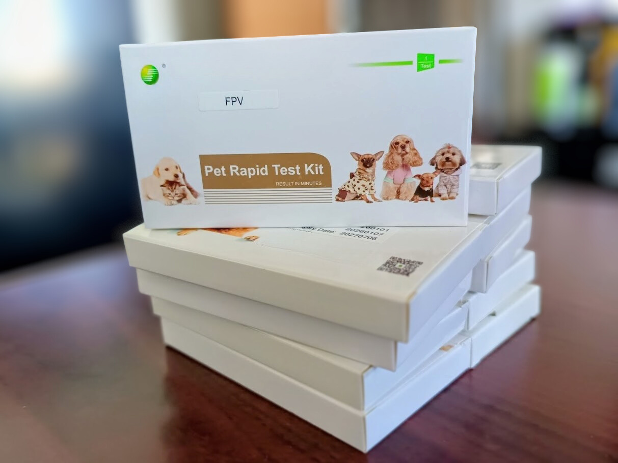10 x Single packed Cat SNap Panleuk Parvo FPV Test Swab home kit PANLEUKOPENIA