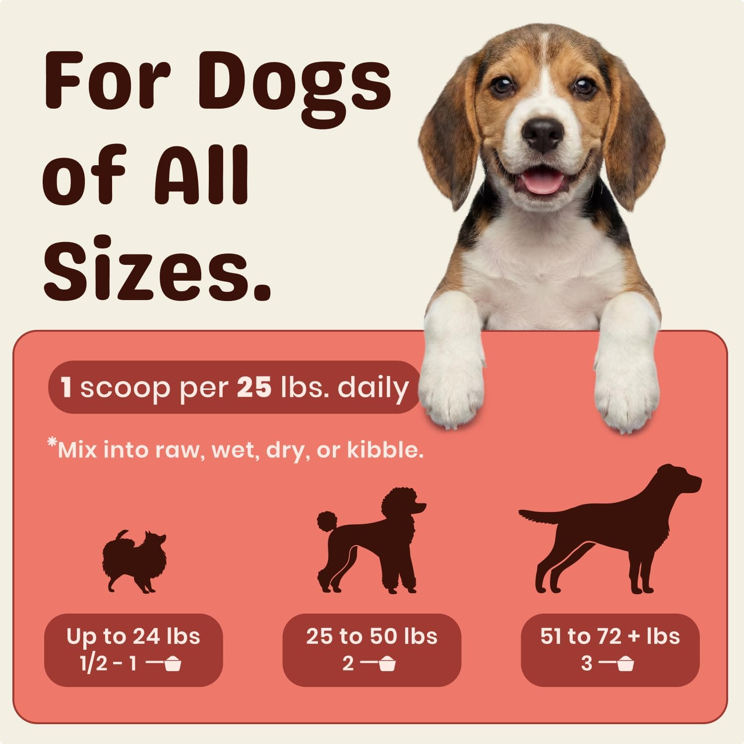 Turkey Tail Mushroom for Dogs – Turkey Tail Mushroom Powder with Probiotics for