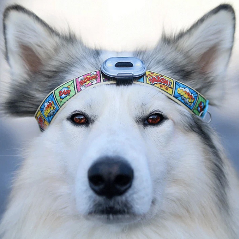 Max & Molly Matrix Ultra LED Safety Light Attaches to Any Dog Pet Collar Harness