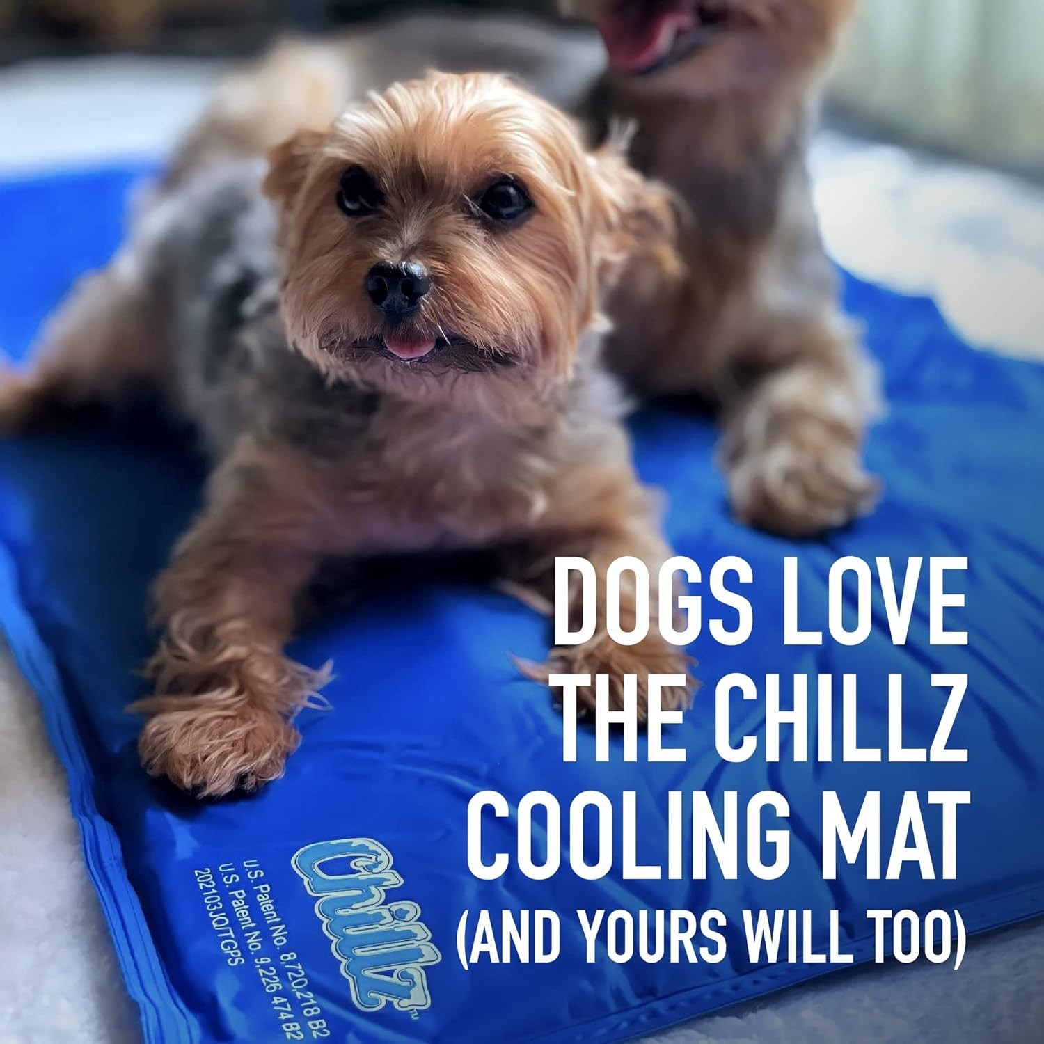 The Green Pet Shop Chillz Gel Mat, Extra Large – Pressure-Activated Cooling Pad