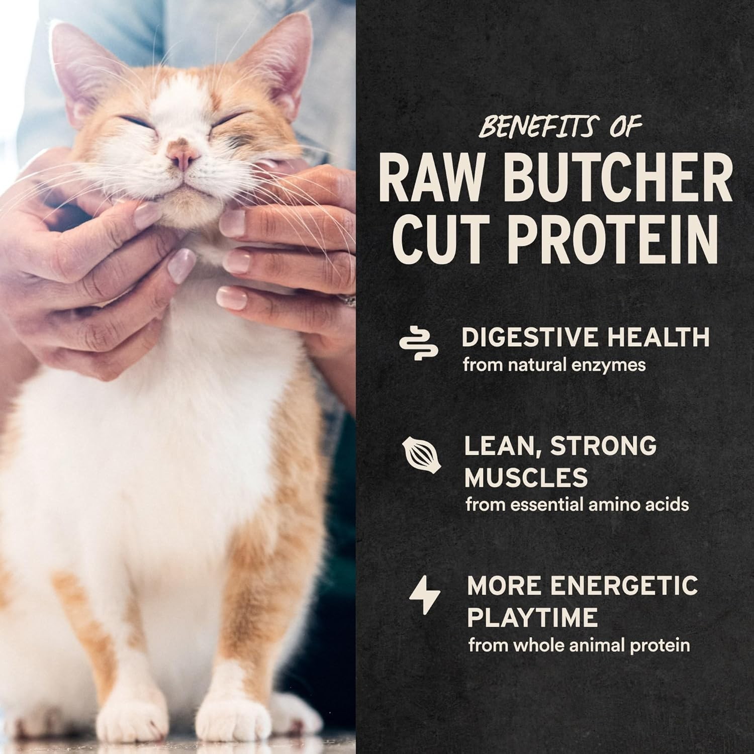 Vital Essentials Minnows Cat Treats, 0.5 oz | Freeze-Dried Raw | Single