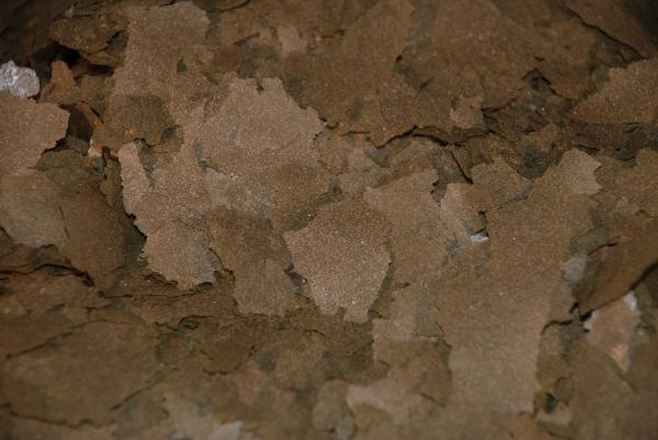 Ken’s Premium Spirulina Flake