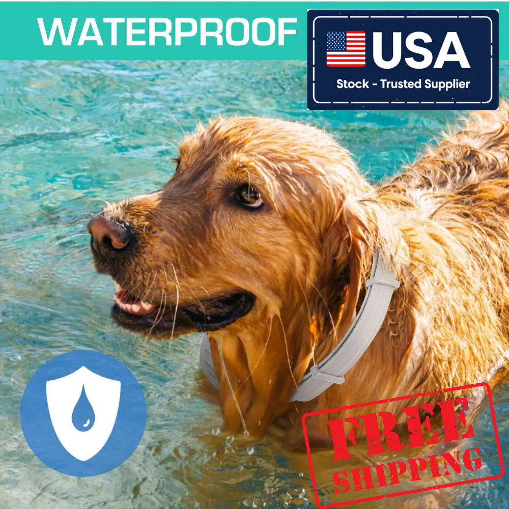 Dog colar Flea and Tick Treatment Waterproof 8 Months Protections