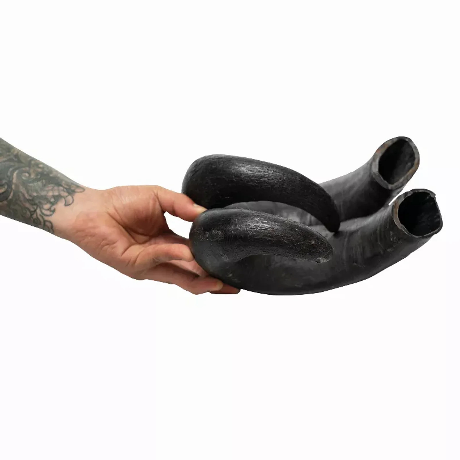 WATER BUFFALO HORN-100% Natural, Long-Lasting, 2 COUNT-15 oz, Lg,