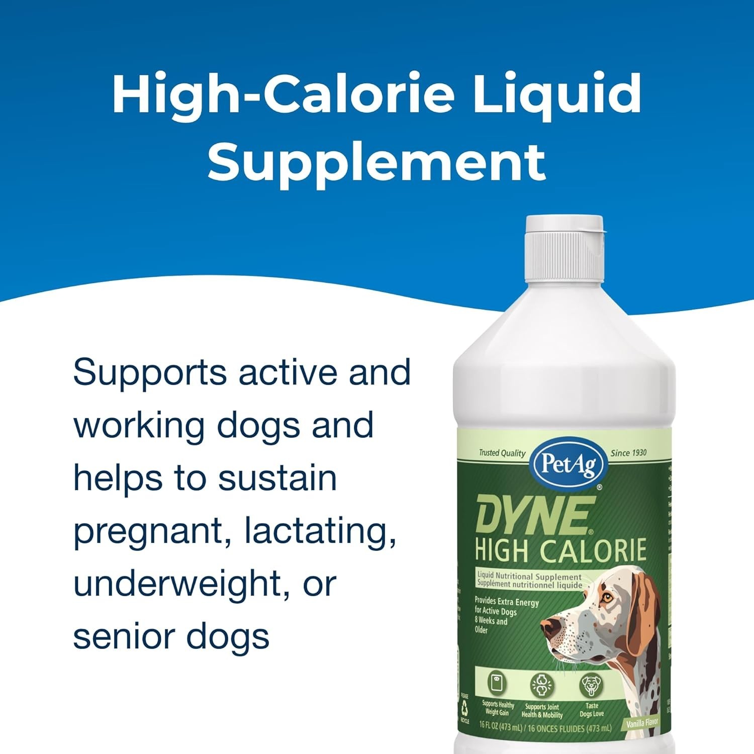 High-Performance Dyne Liquid Nutritional Supplement for Dogs – Vanilla Flavor