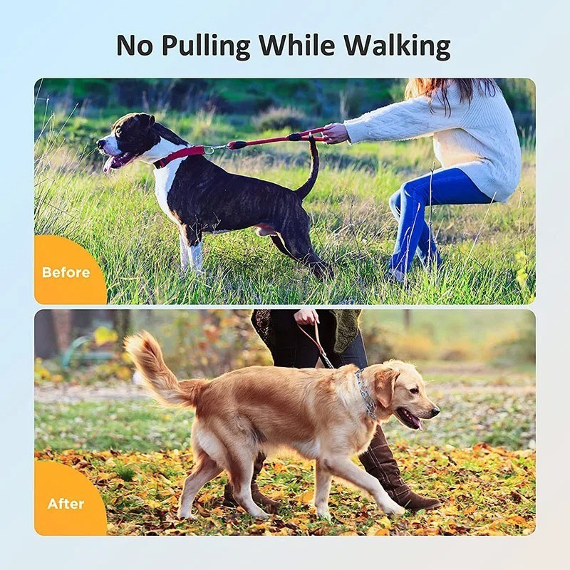Metal Adjustable Dog Training Prong Collar Pinch Choke Chain Steel Metal Large