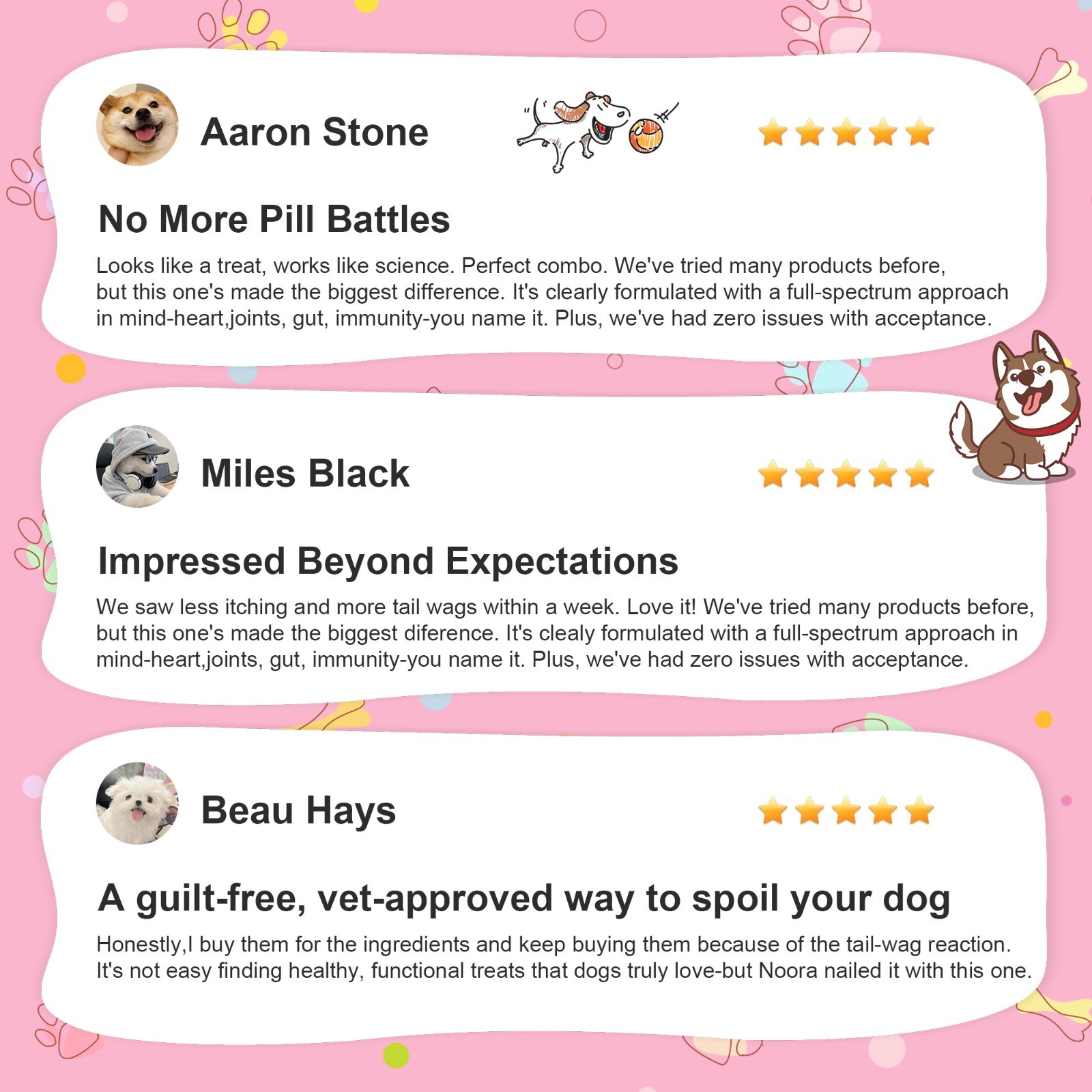 Noora Dog Calming Supplement Chews Stress Anxiety Relief for Dogs of All Sizes