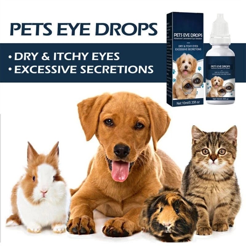 Eye Drops for Pets Bacterial,Viral and Fungal & Infections Dog Cat Treatment US