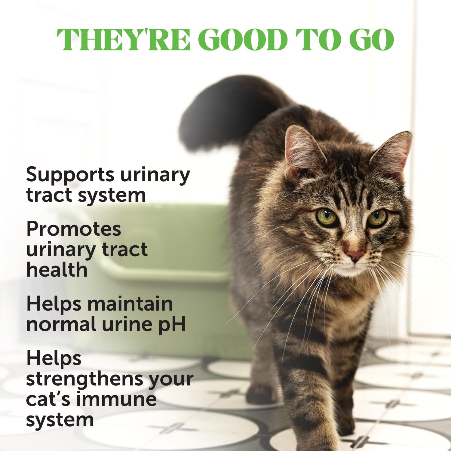 Cat Urinary Tract Health Crunchy & Creamy Chews – 30-Day Supply, Cranberry