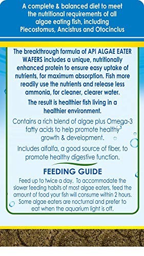 API ALGAE EATER WAFERS Algae Wafer Fish Food 6.4-Ounce Container