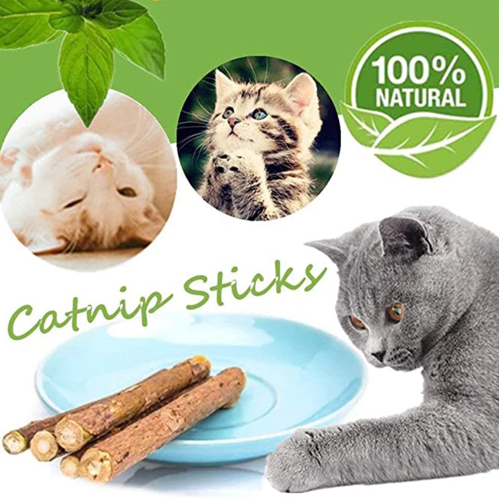 10 Pcs Catnip Sticks Organic Cat Chew Toys Natural Plant Matatabi Silvervine Ch