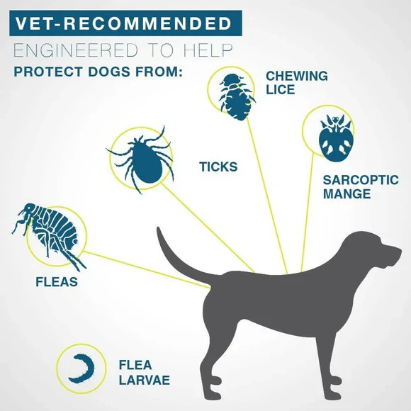 Seresto Flea and Tick Collar 8 Months Protection for Large Dogs over 18lbs