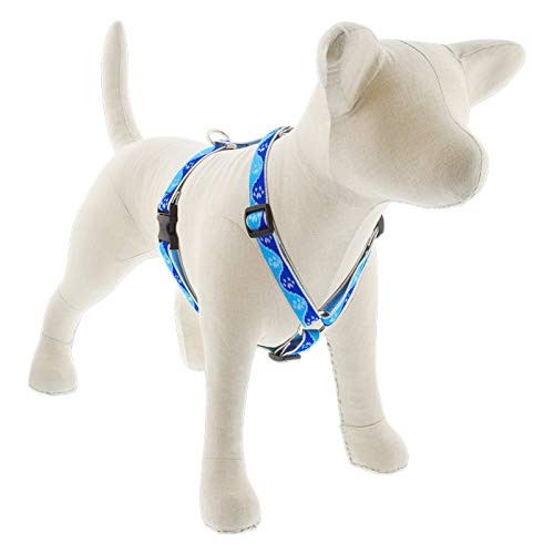 Lupine Blue Paws Reflective Adjustable Dog Harness 3/4 Inch Wide 2032 Inch