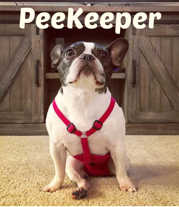 PeeKeeper Escape Proof Dog Diapers for Male and Female, Stay On Dog Diapers