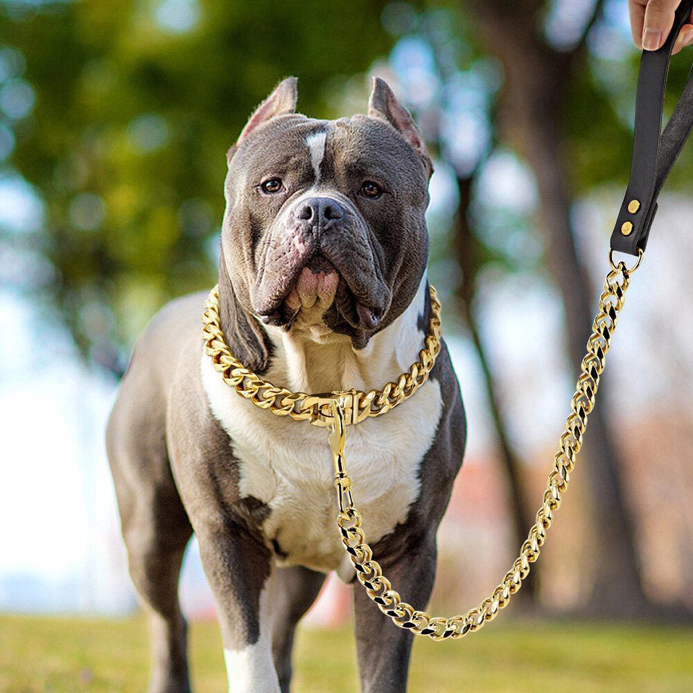 Dog Chain Collar & Leash Cuban Link Heavy Duty Stainless Steel Gold Silver 55cm