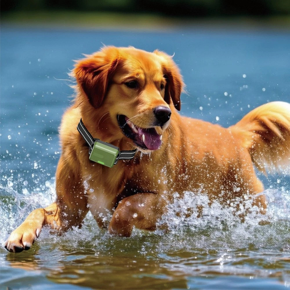 Dog Training Collar 4500FT with Remote Rechargeable Shock PET Waterproof Trainer
