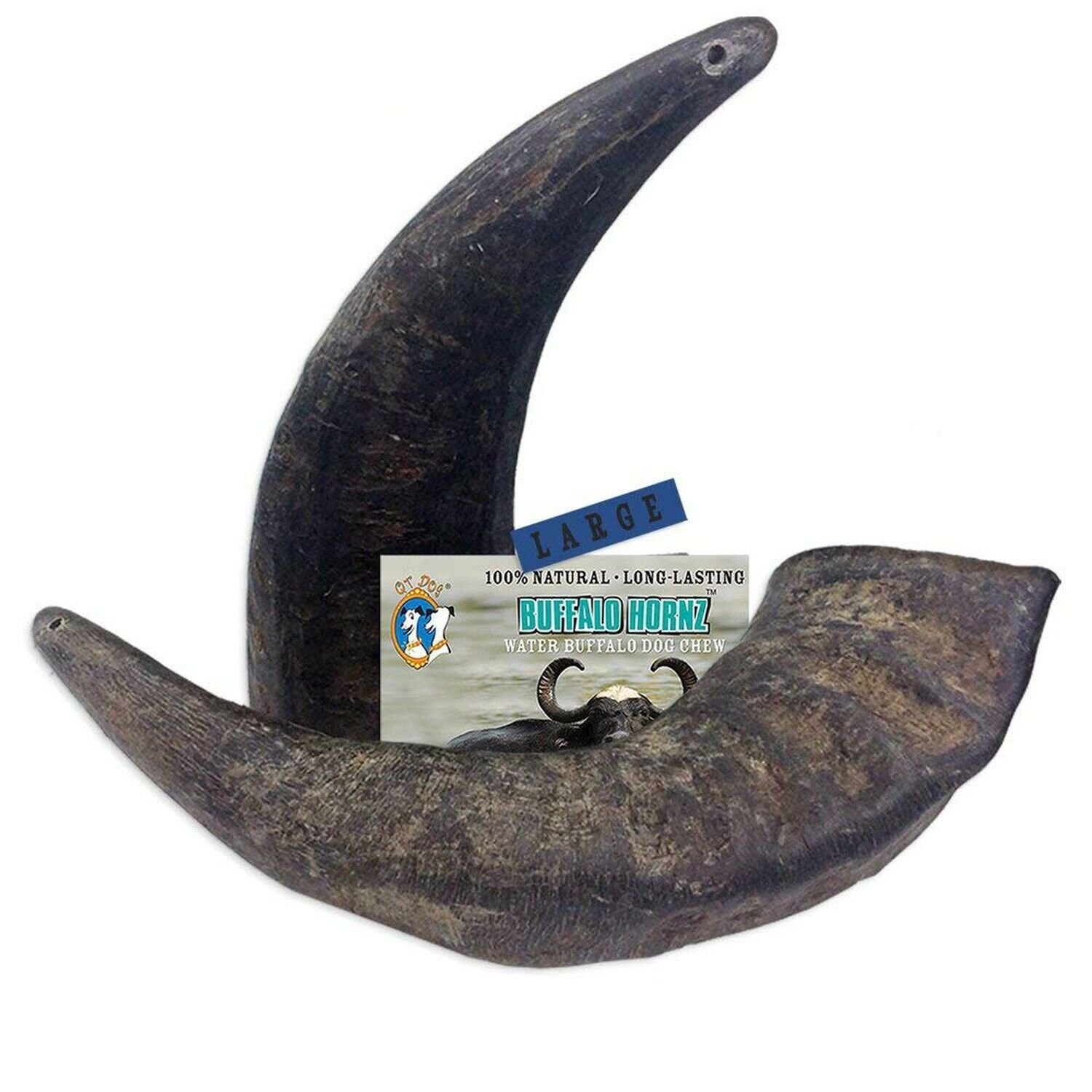 2 Pack of Buffalo Hornz Large Long Lasting 100% Natural Water Buffalo Horn Do…