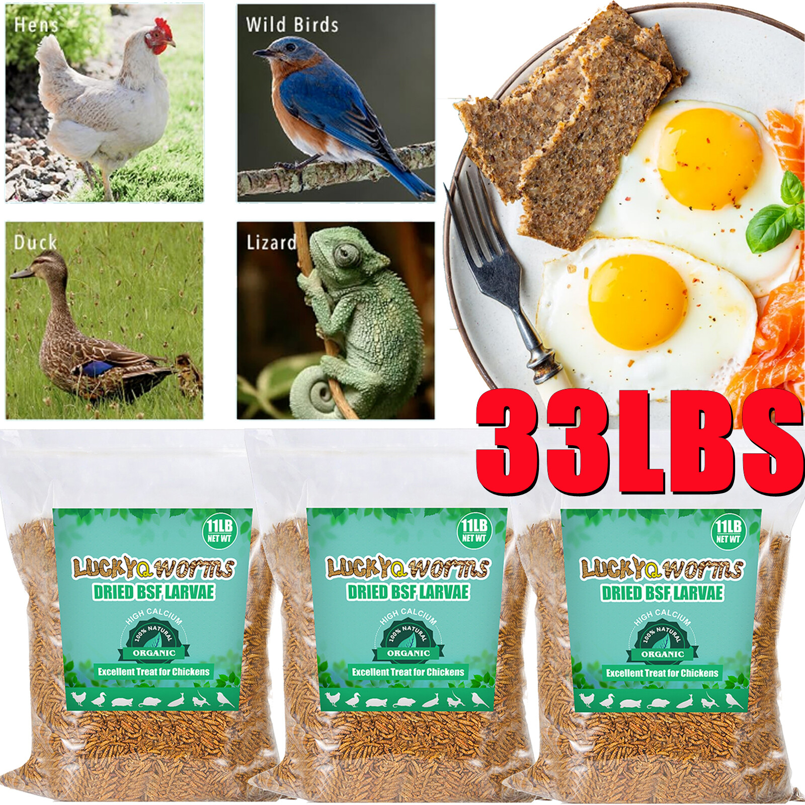 33LBS Bulk Dried BSF Mealworms for Wild Birds Food Chickens Hen Fish Treats Food