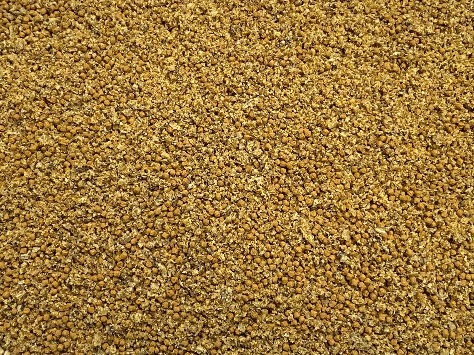 Black Soldier Fly Crumbles/1.0 Color and Grow Fish Food Mix Guppy Tetras A466