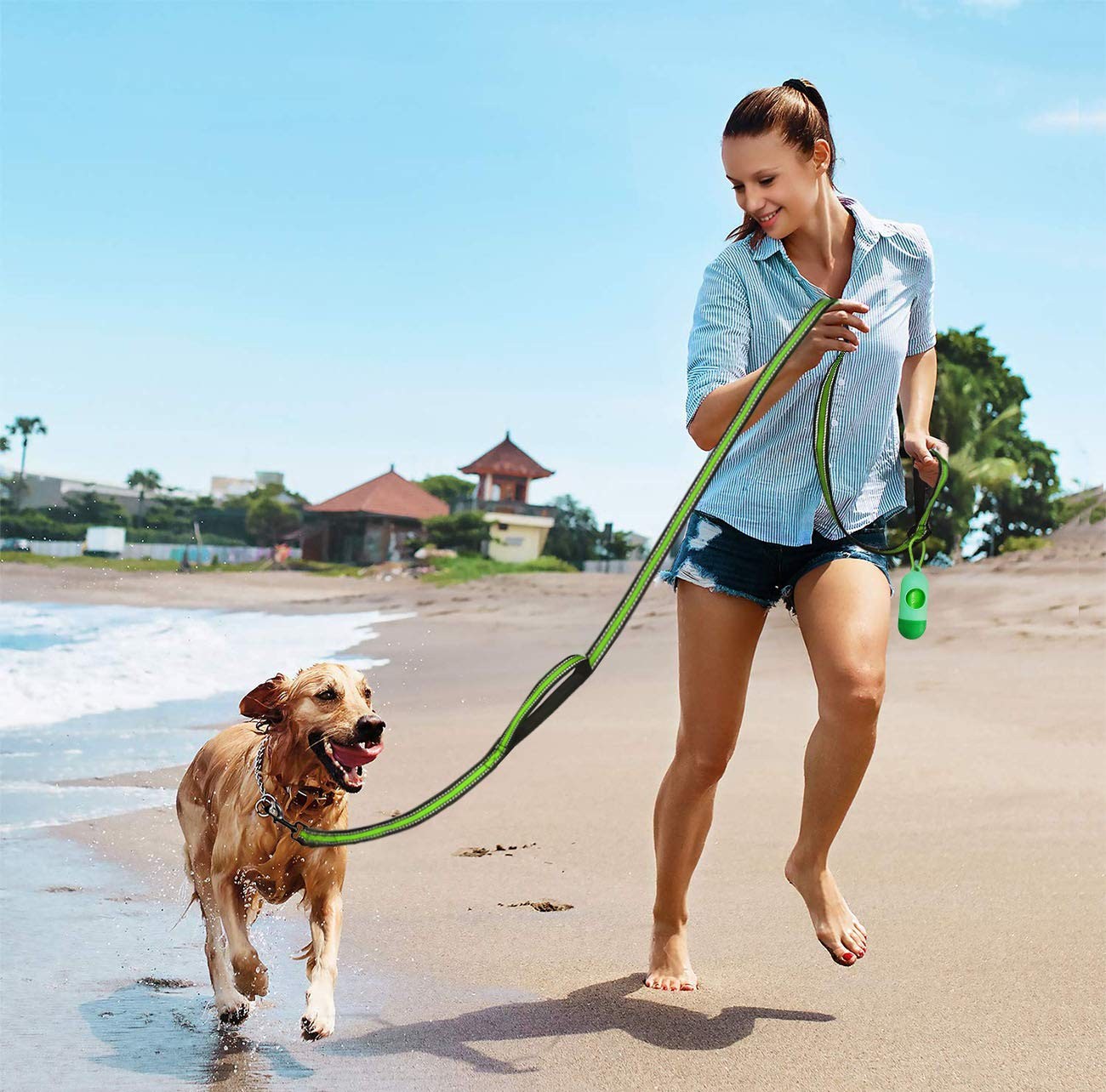Heavy Duty Double Handle Dog Leash 5 FT Padded Reflective Wide-Green