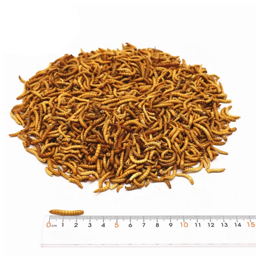 LUCKYQ Organic Dried Mealworms For Chicken Treats Duck Feed Organic Meal Worms