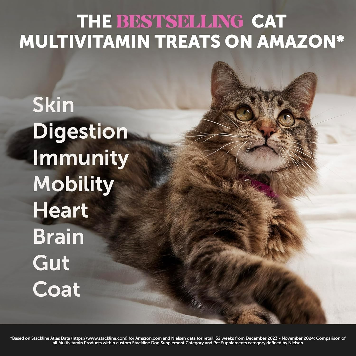Cat Multivitamin Chews,Cat Treats for Health Immune, Joint Support, Skin 30 Day