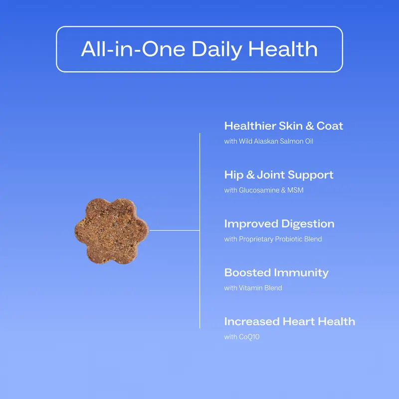 Chicken-Flavored Dog Multivitamin Soft Chews – Daily Wellness & Vitality – 60ct