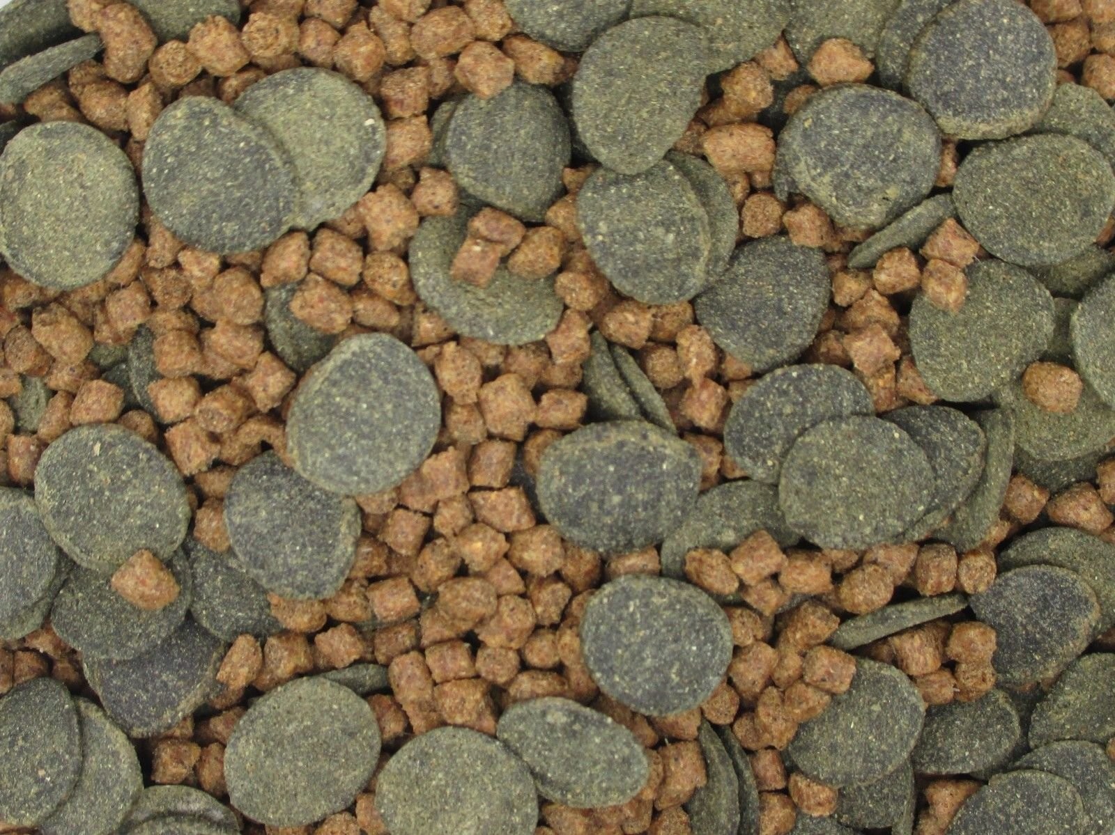 Invert Aquatics Micro Mix – Sinking Blended Diet for Snails, Shrimp & Bottom