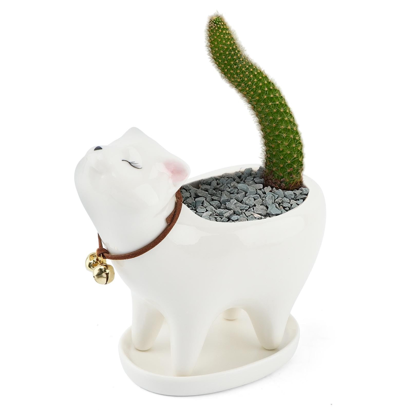 Unique Tailless Cat Little Planter Pot,Adorable free size, as picture show