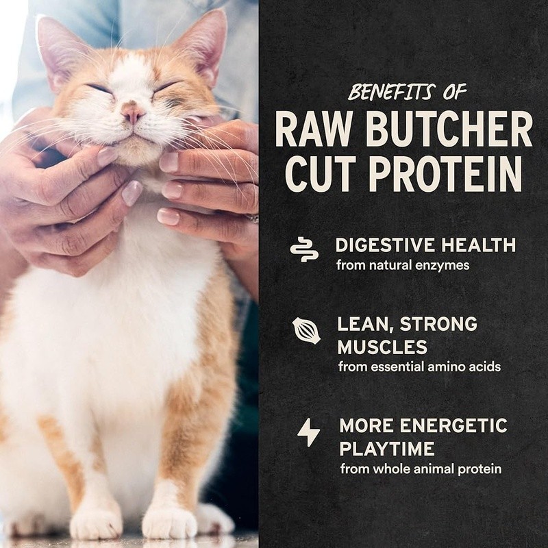 Freeze Dried Cat Treats High Protein Natural Healthy Skin Digestion Dental Care