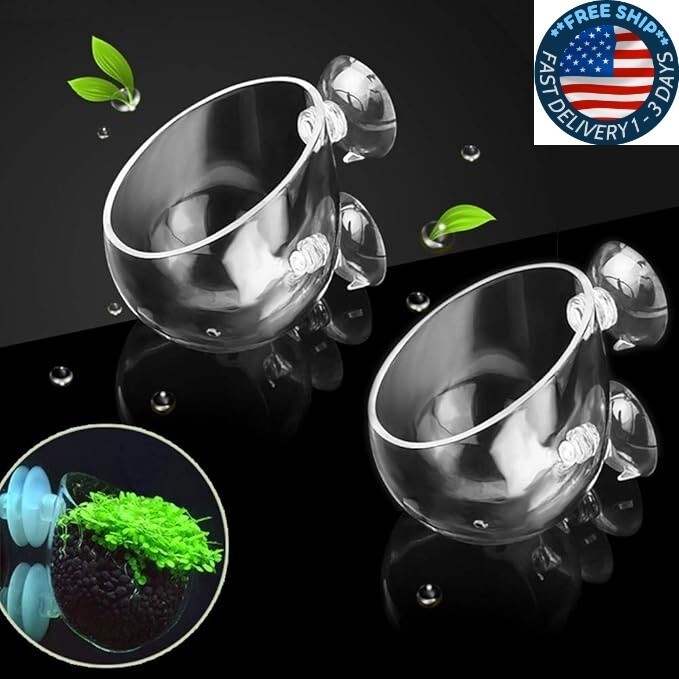 2X Macetas de cristal para plantas acuáticas, jardinera, pecera con plantas,