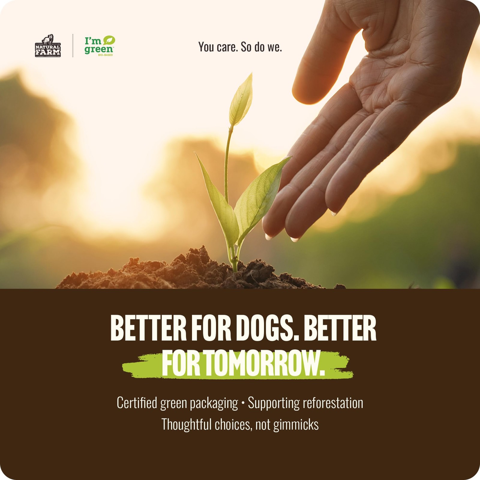 Odor Free Bully Sticks 2-3″ for Dogs – 100% Beef, Non-GMO, Grain-Free Chews