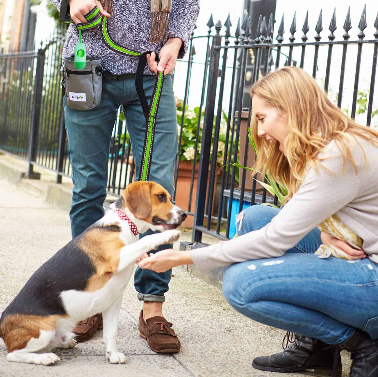 Heavy Duty Double Handle Dog Leash 5 FT Padded Reflective Wide-Green