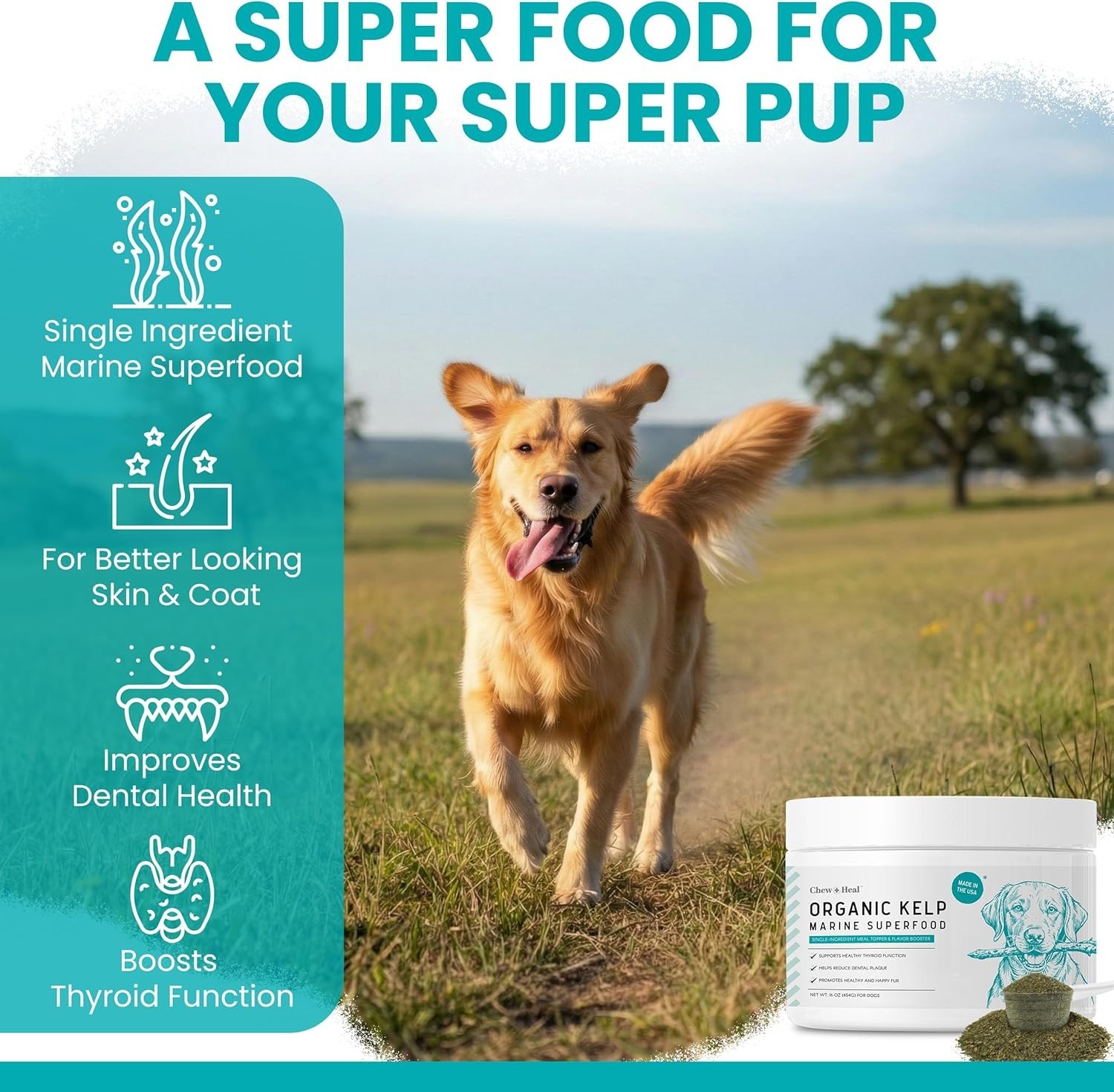 Sea Kelp Powder for Dogs – Dental, Plaque, Skin & Coat, Thyroid – Chew + Heal La