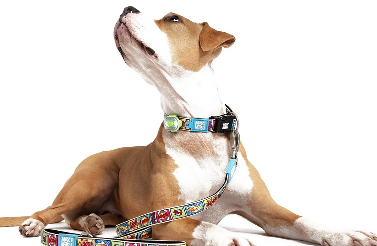 Max & Molly Matrix Ultra LED Safety Light Attaches to Any Dog Pet Collar Harness