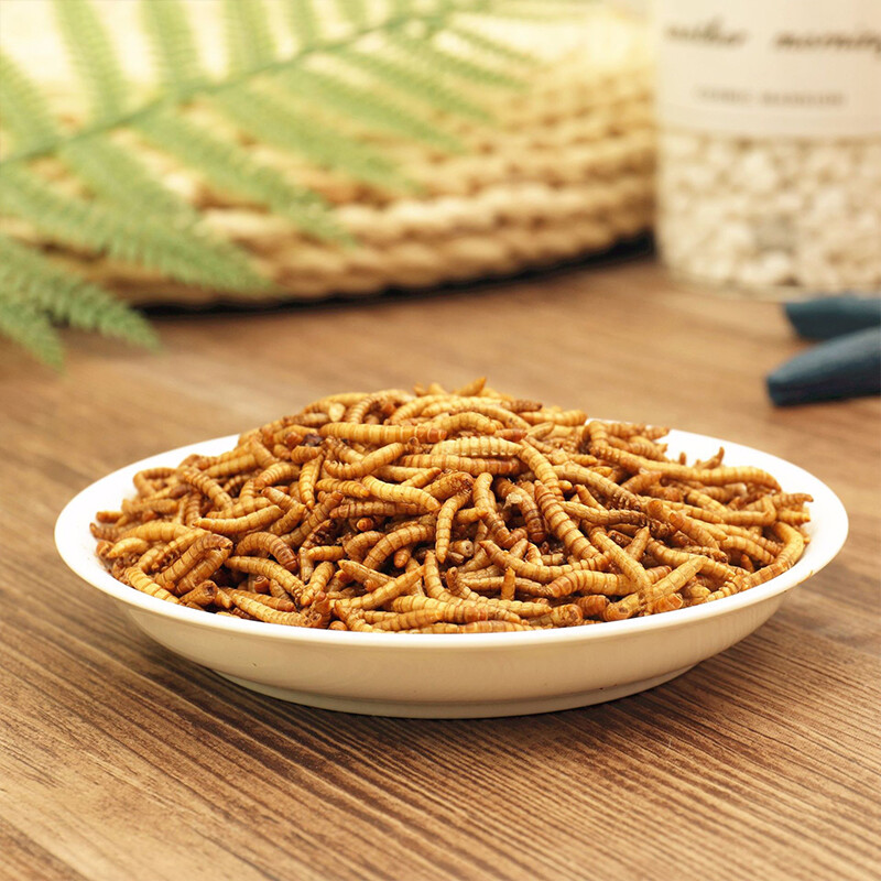 Bulk Dried Mealworms for Chickens Wild Birds Feed Bluebirds Hamster Hen Treats