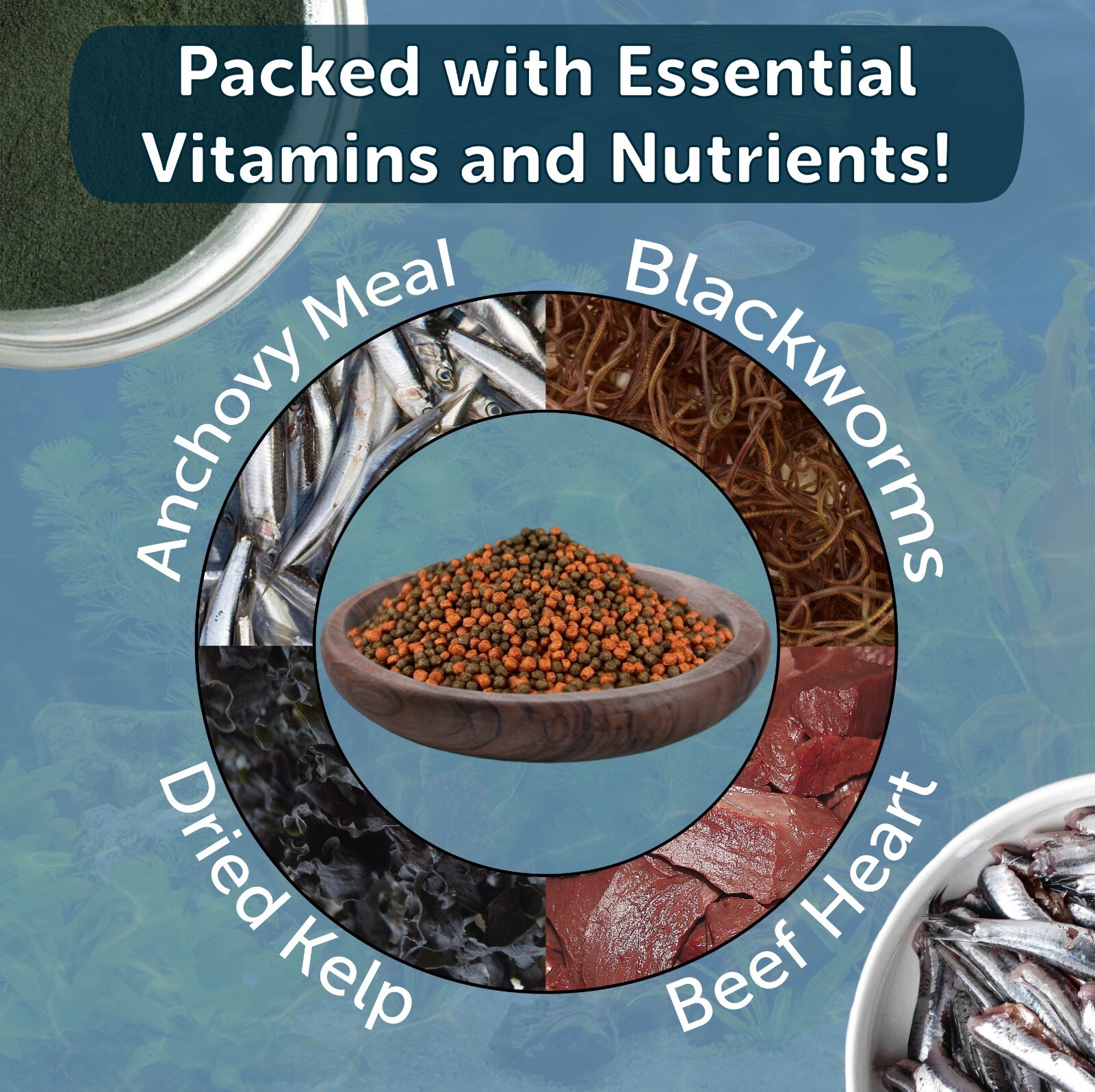 1mm California Blackworm & Beef Heart Floating Pellets. FREE Pellets & Wafers